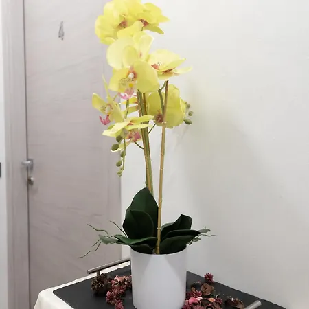 Bed & Breakfast Nonna Maria 3*